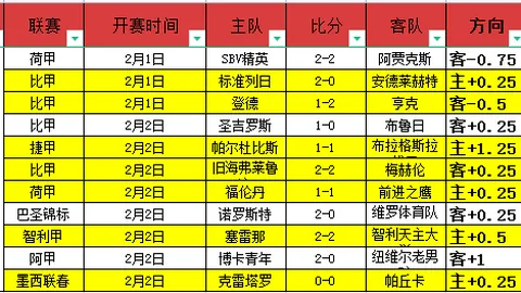 昂热主场对阵里昂：大乐透期号专家质合推荐分析
